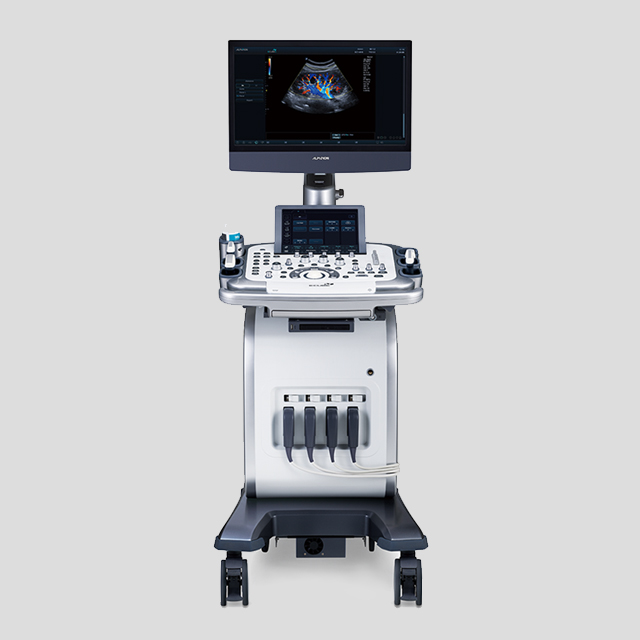 Diagnostic Ultrasound  Image