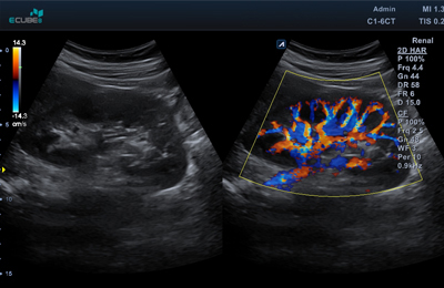 Flagship model-grade platform
