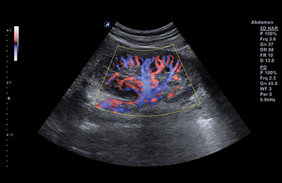 Flagship model-grade platform